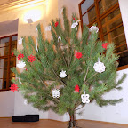 DSCN0570.JPG