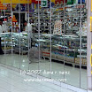 TJ 10-13-07 060cr.JPG