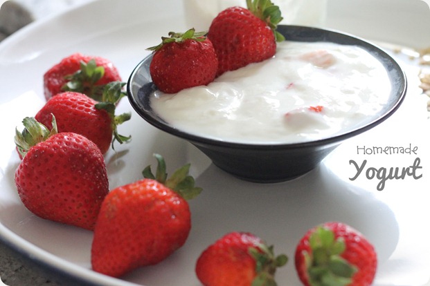 make_your_own_yogurt