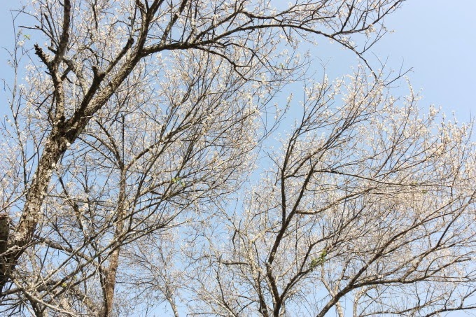 2014_0105_110057 2014_0105_110057