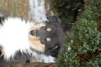 _DSC0006.JPG