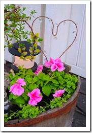27-31 Maj 2012 042
