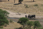 Afrikka (Tansania 2004,2008 + Kenia 2007 ) Slideshow