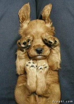 Ничего не вижу, ничего не слышу, ничего никому не скажу!