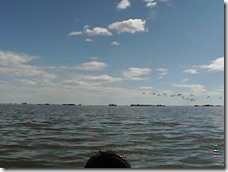 IMGA0962 IMGA0962