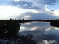 IMG_4237.jpg