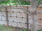 Each side of the walled in Japanese garden uses a different style of traditional Japanese fence. There's this one,