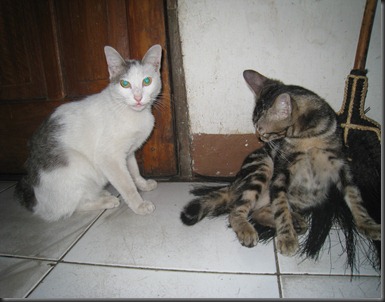 IMG_1800 IMG_1800