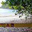 Thankfully No Crocs While We Were Here - Oak Beach, Australia