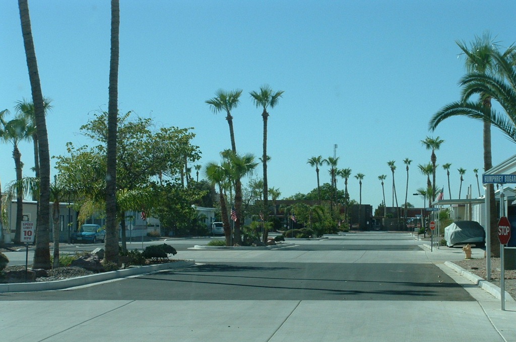 [5-Beautiful-new-street---Palm-Drive3.jpg]