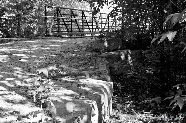 meadowvale black and white_004