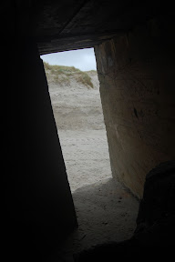 DSC_0193.jpg