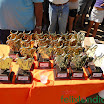 DesfiledeCarrosdeBois2011-072.jpg