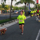 Pet Express Doggie Run 2012 Philippines. Jpg (66).JPG