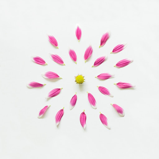 Digital art selected for the Daily Inspiration9 #934