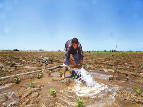 montant des primes agricole
