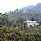 One of the region's many tea factories
