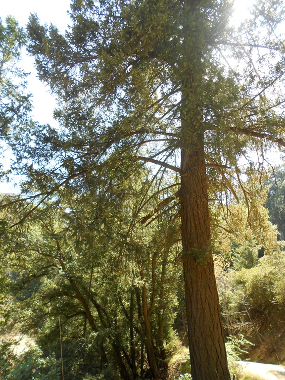 [DSCN3028.jpg]