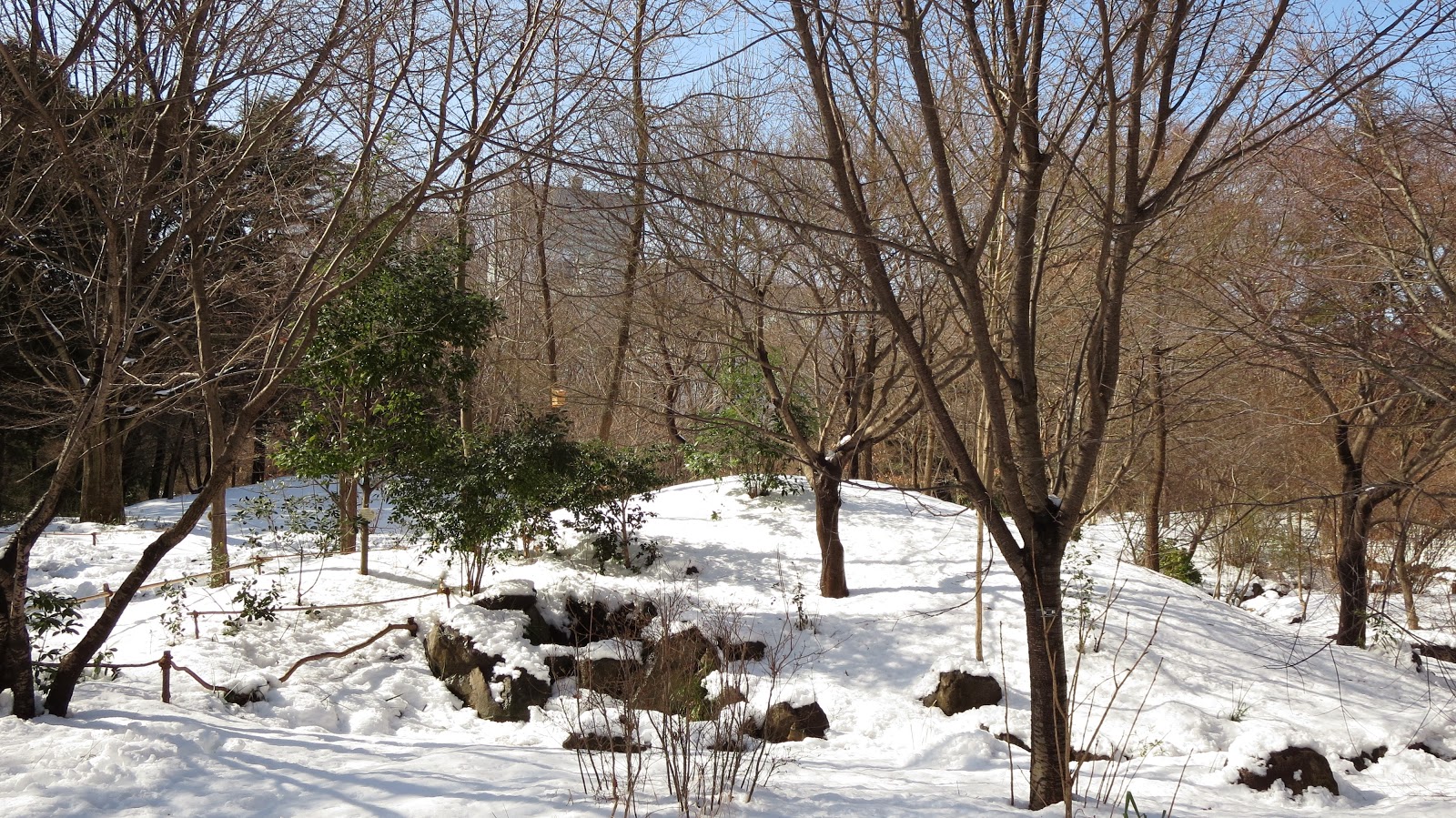 [IMG_0305%255B3%255D.jpg]