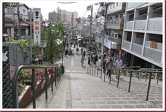 IMG_3022 IMG_3022