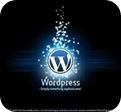 Platform wordpress in website