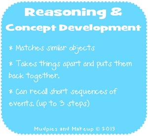 Preschool Reasoning and Concept Development