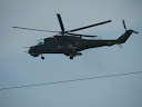IMG_1124.jpg
