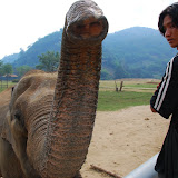 Elephant Nature Park