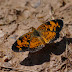 P1080807