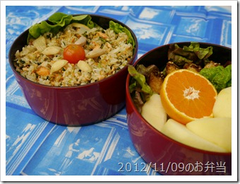 鮭焼き飯弁当(2012/11/09)