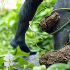 20100825_085_small.JPG
