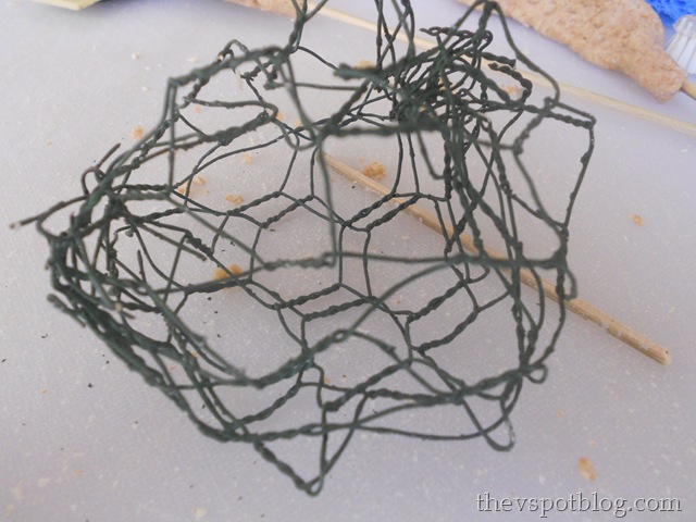 [DSCN4100%255B6%255D.jpg]