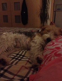 Maggy5 Maggy5