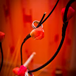 POZE COSMIN CORINA-33.jpg