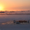 Ingezonden winterfoto's 2011-2012_80.jpg
