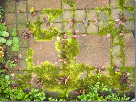 tuin-3 tuin-3