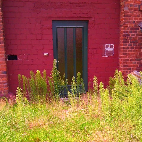 [IMG_20110711_135750%255B5%255D.jpg]