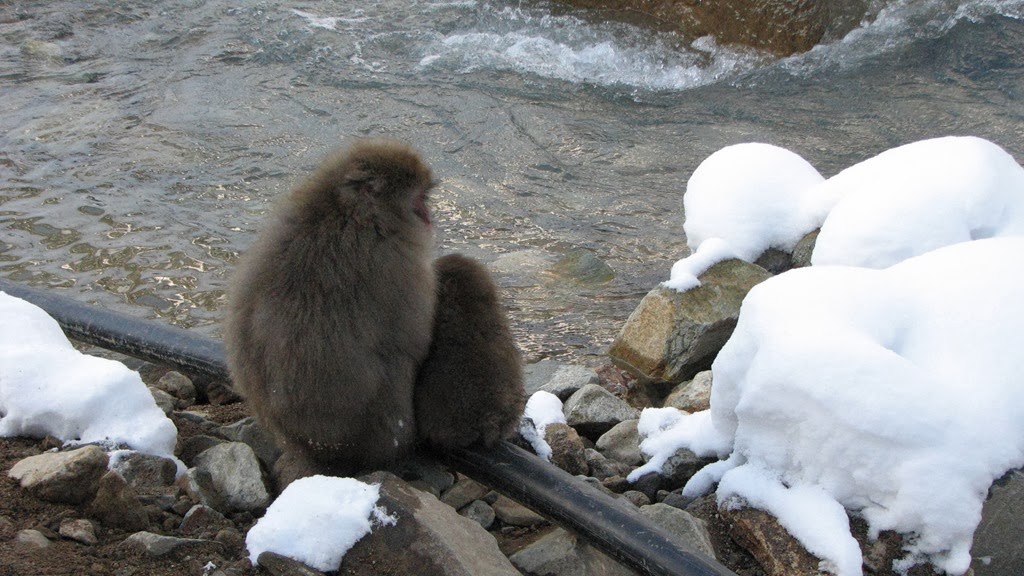 [IMG_4296%255B3%255D.jpg]