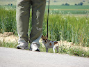 DSC08211.JPG
