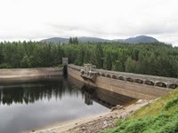 IMG_1229 IMG_1229