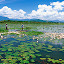 100111095449_chanvit_danang_datviettour.jpg