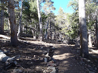 P6100025.JPG Photo