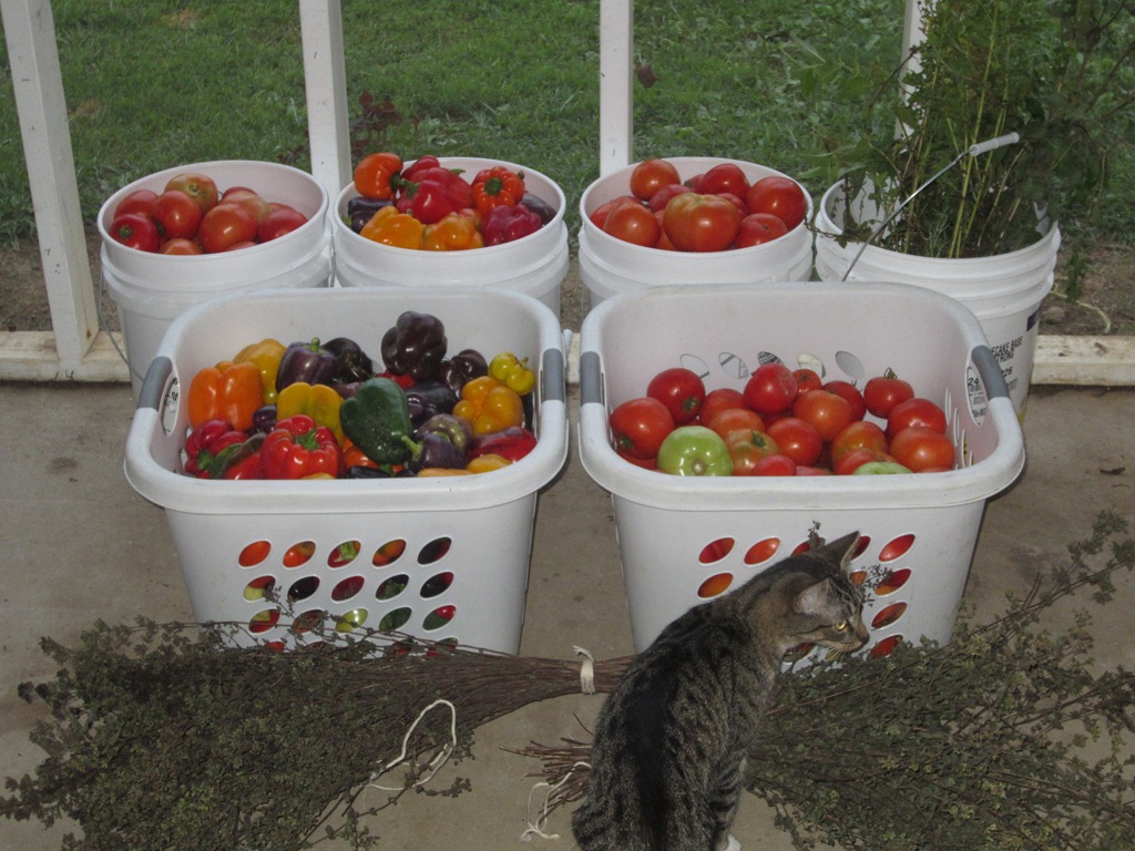 [IMG_0758%255B5%255D.jpg]