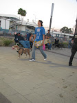 IMG_7575.JPG
