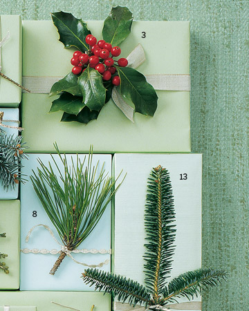 3. English Holly, 8. Black Pine, 13. Fraser Fir. 3. English Holly, 8. Black Pine, 13. Fraser Fir.