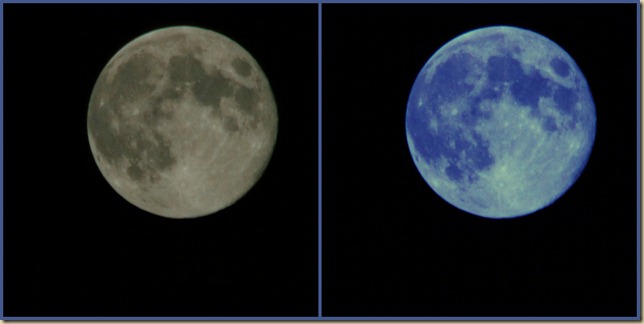 Blue Moon Collage