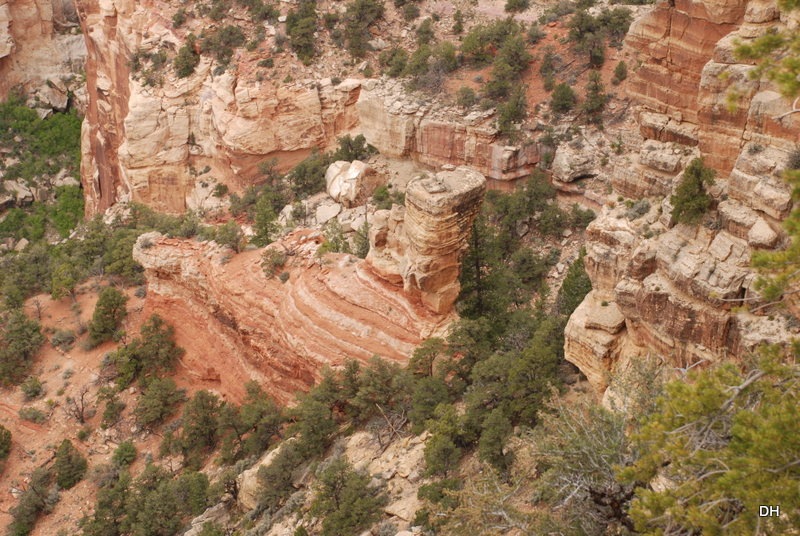 [05-17-13-B-Grand-Canyon-North-Rim-Dr%255B8%255D.jpg]