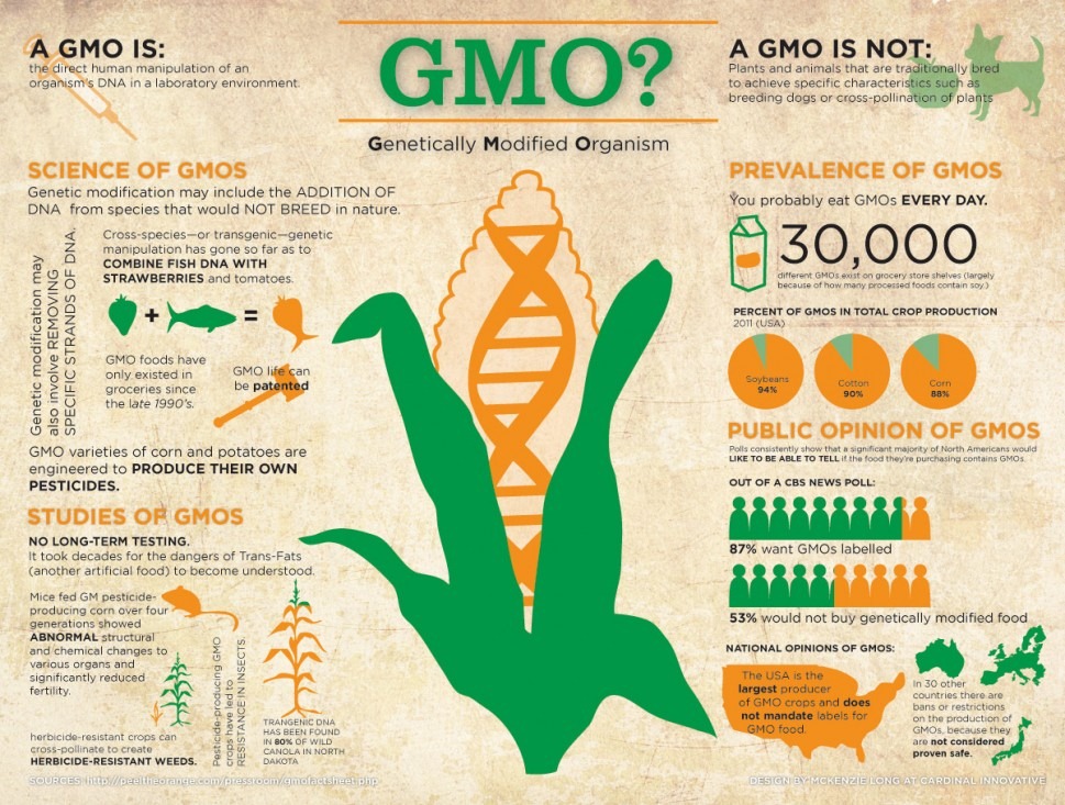 [gmo-genetically-modified-organism_50290d5e92a11_w969%255B3%255D.jpg]