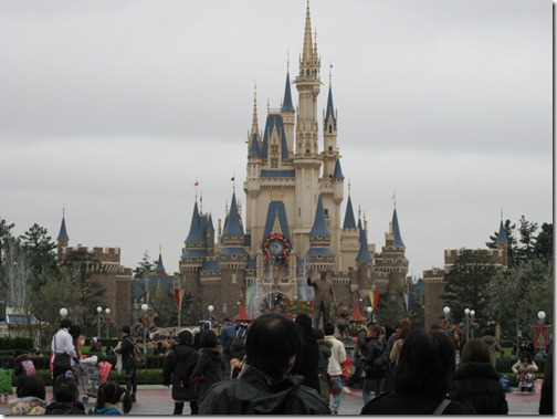 IMG_3139 IMG_3139