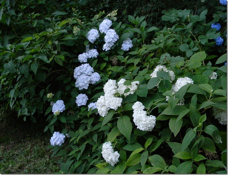 DSCN0473 DSCN0473
